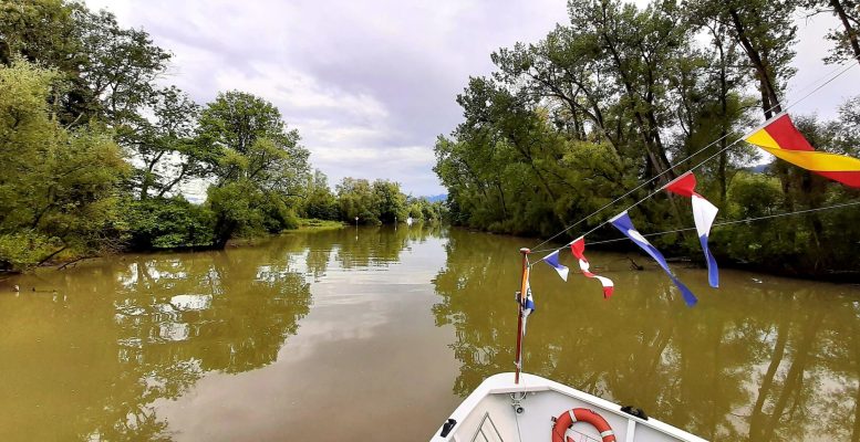 Alter Rhein Naturschutzgebiet Schiffkurs