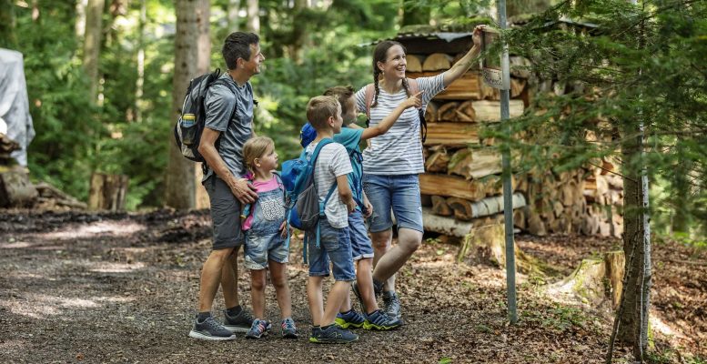 Witzweg Witztafel im Wald